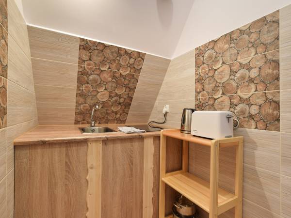 Aneks apartament góralski