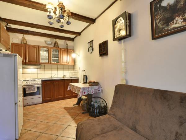 Aneks kuchenny w salonie