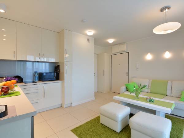 salon z aneksem kuchennym