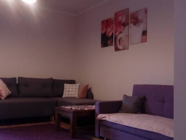 apartament różany