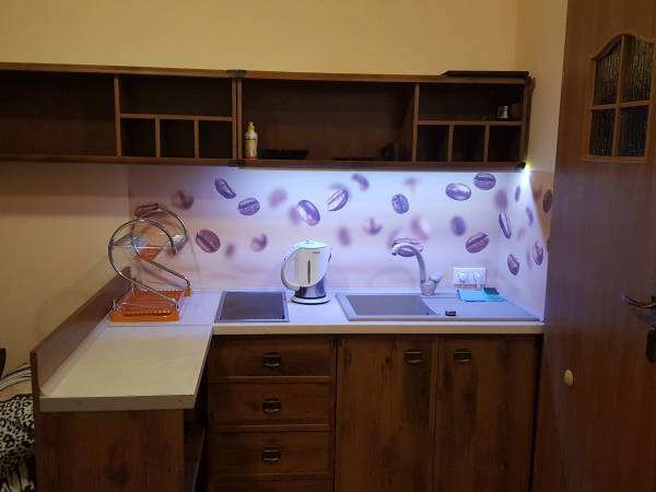 Pokój 3os. z aneksem kuchennym