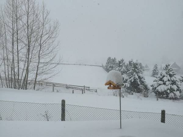 Hubertówka  - okolica