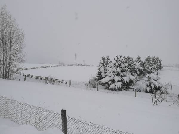 Hubertówka  - okolica