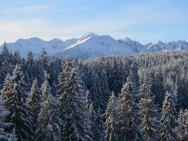 Jedla Miejsce gościnne