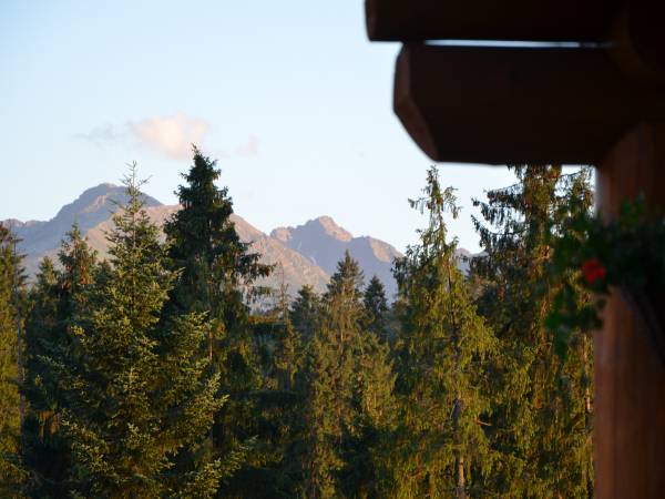 Jedla Miejsce gościnne