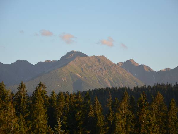 Jedla Miejsce gościnne