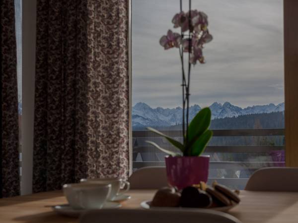 Tybet Fioletowy 8-16 os.