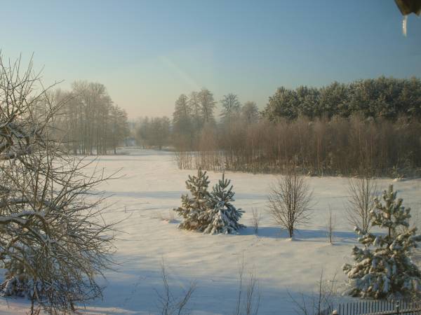 Widok z okna zimą