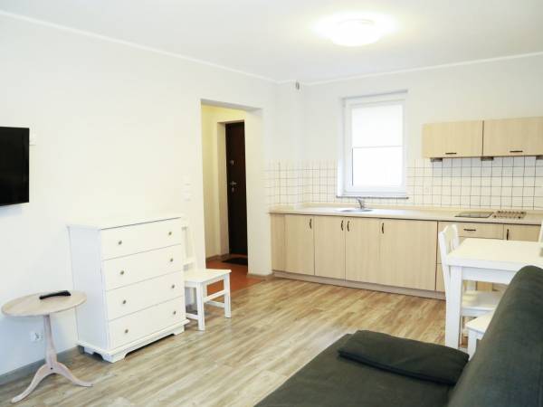 Dom Zachodni, apartament, salon z aneksem