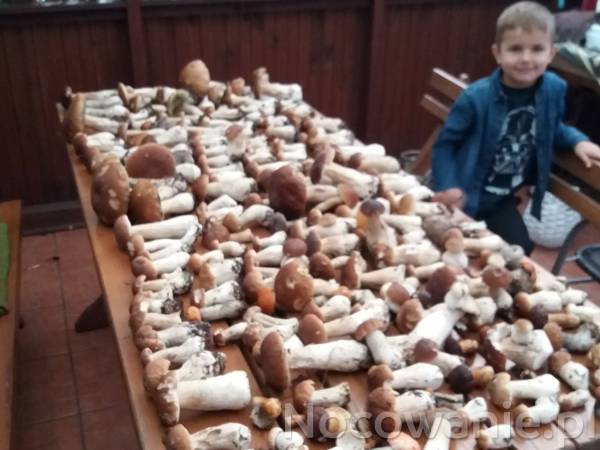 Domki i pokoje Joanna Szebiotko