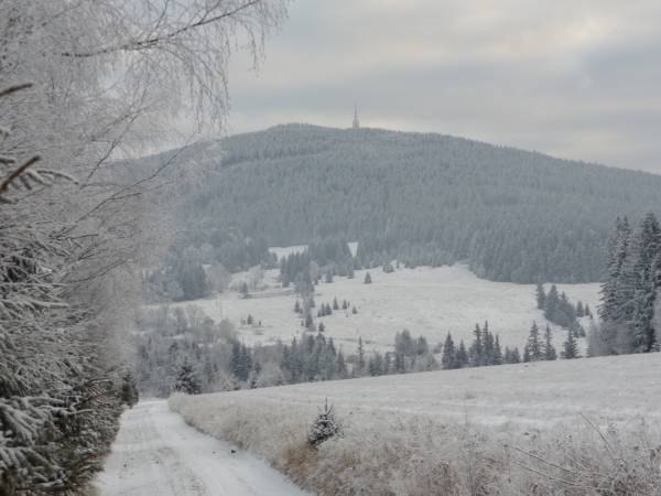 Agroturystyka Domek Pluto