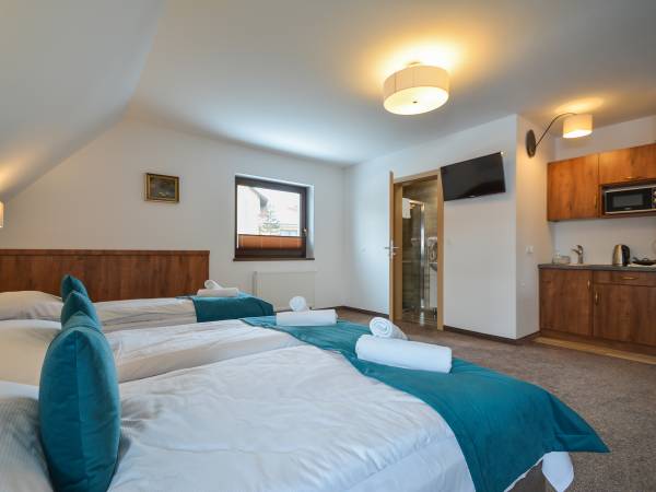 Pokój 4-os z aneksem kuchennym i balkonem 