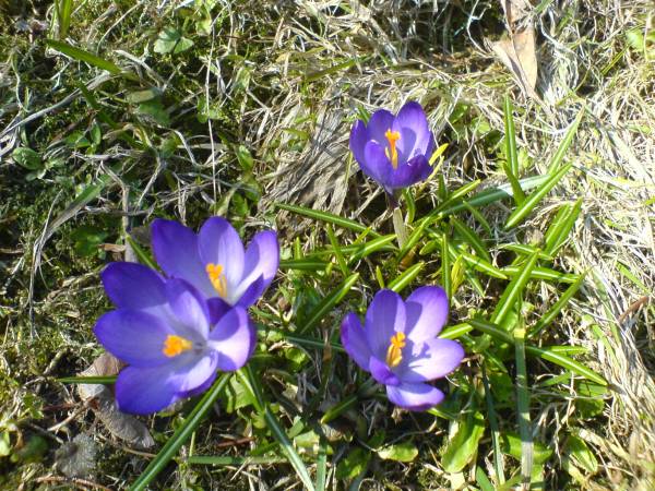 Pokoje nad Zalewem Czorsztyńskim