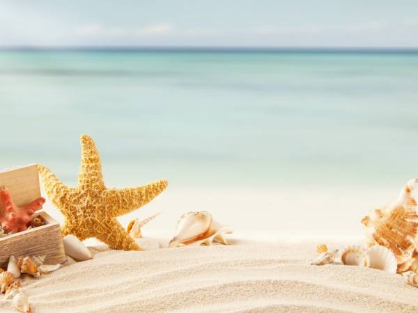 Arkadia Holiday - Domki Letniskowe