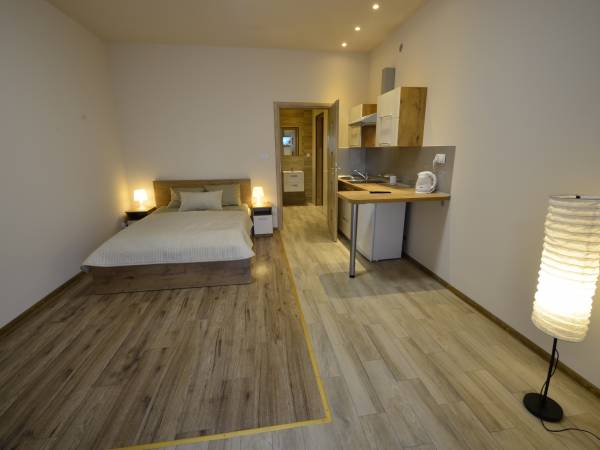 widok ogólny apartament 1