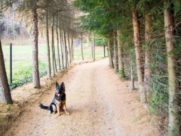 Domek Na Skale z sauną 