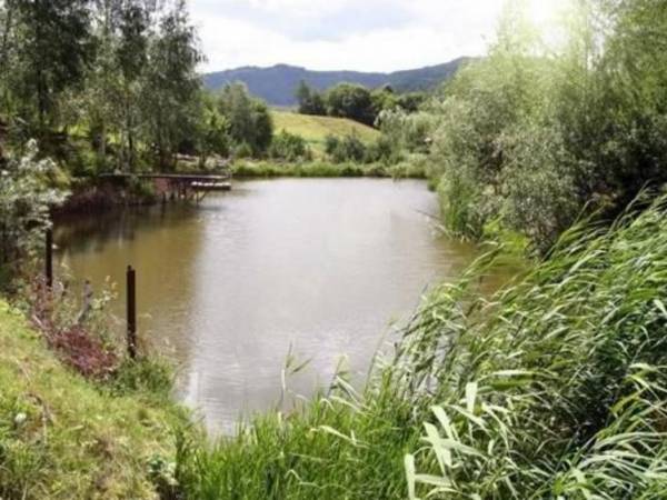 Domek Na Skale z sauną 