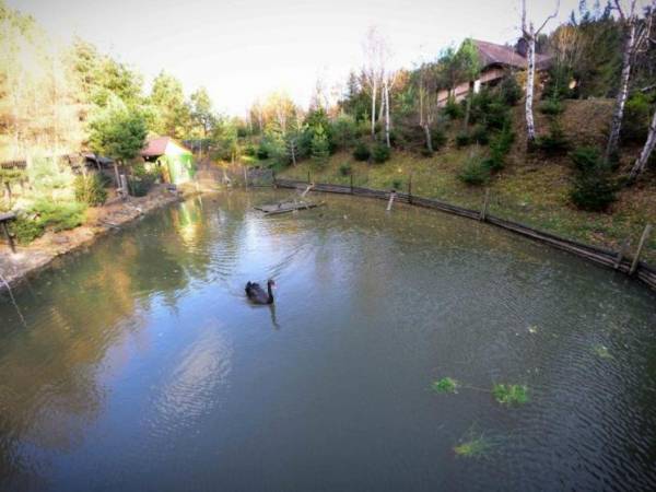 Domek Na Skale z sauną 