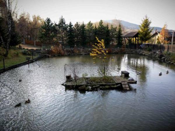 Domek Na Skale z sauną 