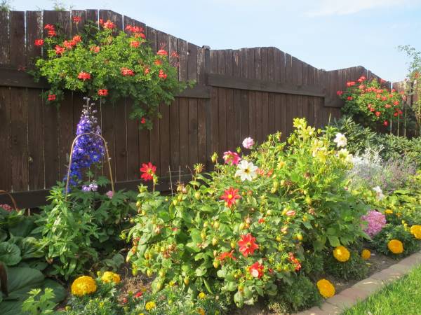 Wynajem Pokoi Paprotka