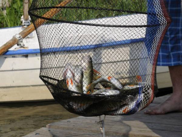 SWORNEGACIE UDANE WĘDKOWANIE