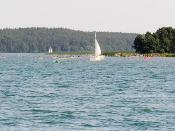 SWORNEGACIE KAJAKI PRZY UJŚCIU RZEKI CHOCINY
