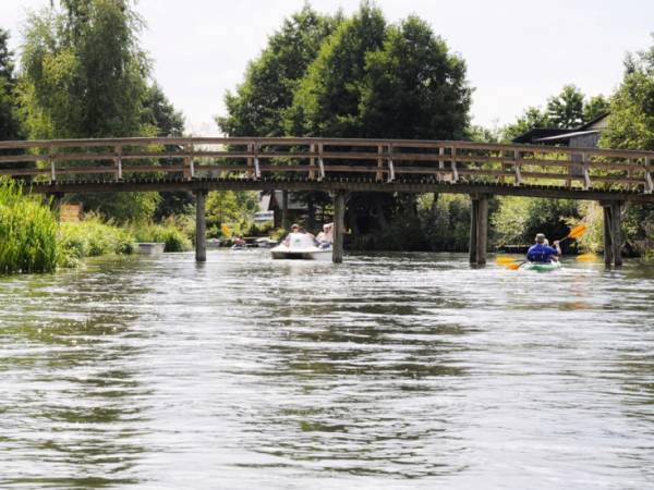 SWORNEGACIE KOZI MOSTEK NA BRDZIE