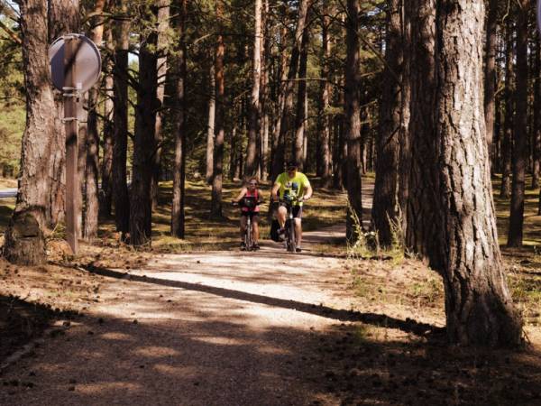 SWORNEGACIE SZLAKI ROWEROWE