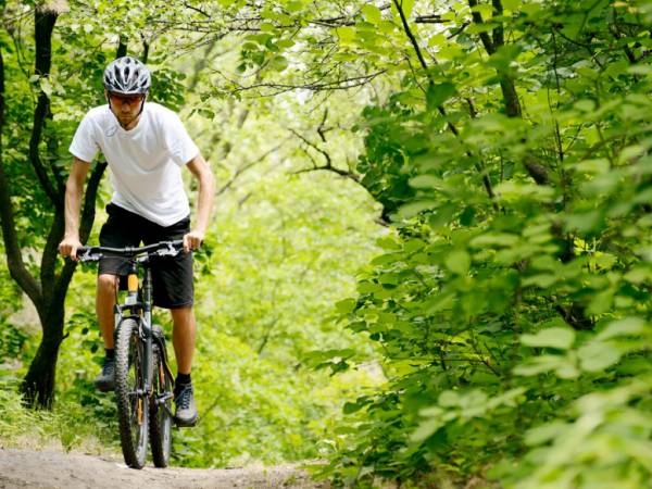 SWORNEGACIE SZLAKI ROWEROWE