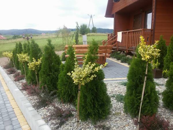 Domki Słoneczne Wzgórze