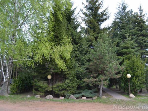 Agroturystyka pod Złotym Ksieżycem