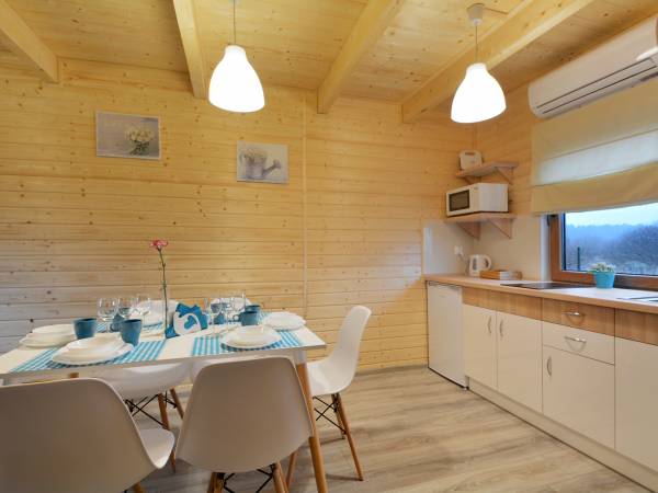 pokój gościnny z aneksem kuchennym