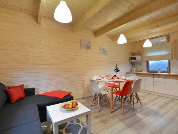 pokój gościnny z aneksem kuchennym