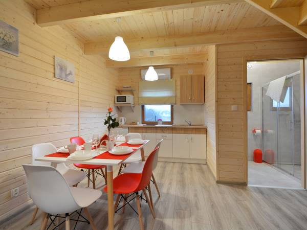 pokój gościnny z aneksem kuchennym