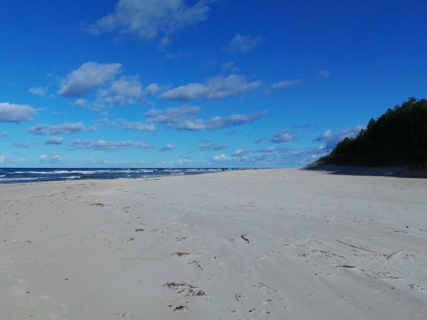 plaża Dębki
