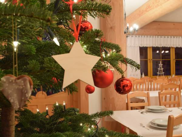 Willa Siuster Comfort 