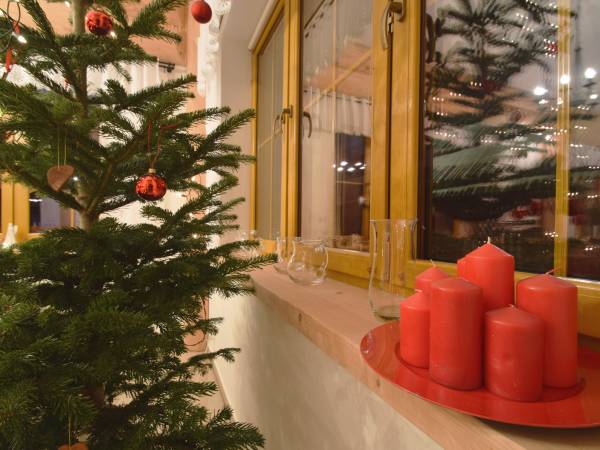 Willa Siuster Comfort 