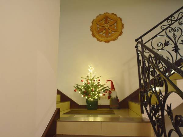 Willa Siuster Comfort 