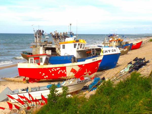 kutry i ryba w Chłopach