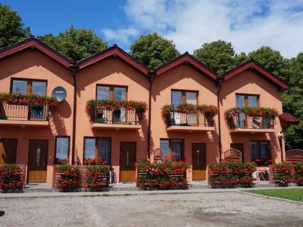 koralowiec od podwórka