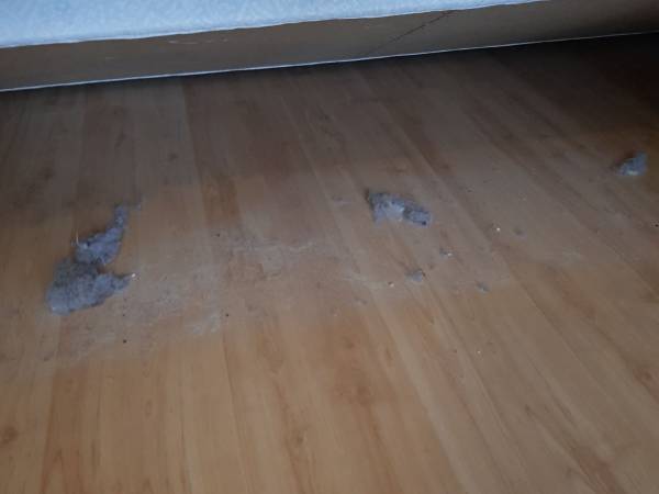 Pensjonat Angela  - pokoje