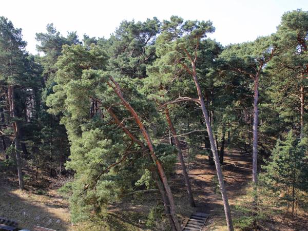 Apartament Classic I