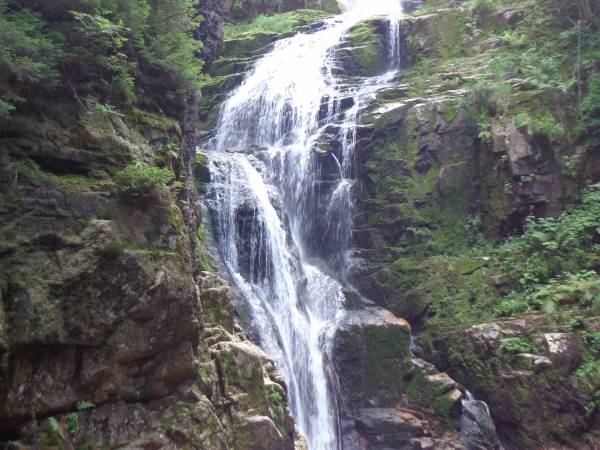 Trzy Kultury Złoty Widok - okolica