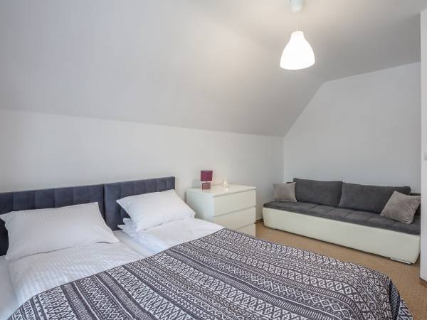 Tybet Fioletowy 8-16 os.