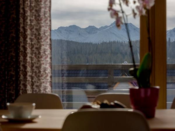 Tybet Fioletowy 8-16 os.