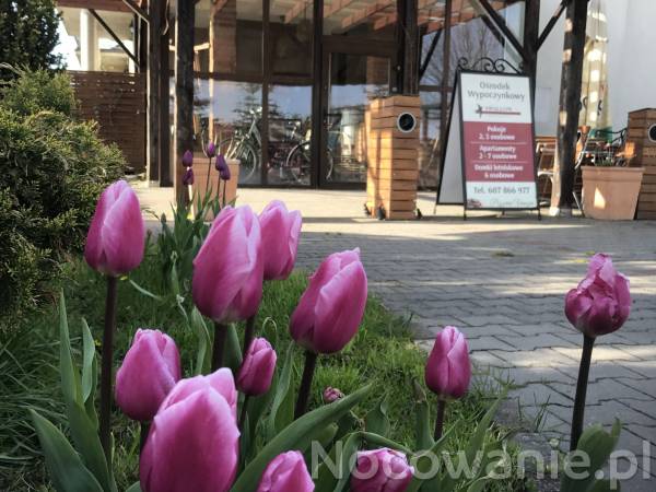 Ośrodek Wypoczynkowy Swallow