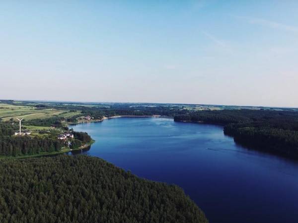 grzybne lasy wokół zalewu