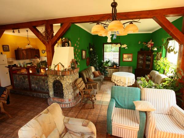 Przestronny salon z otwartą kuchnią i jadalnią.