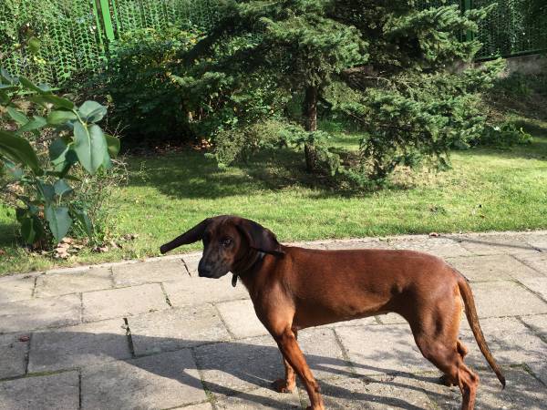 Ośrodek Wypoczynkowy Sielawa