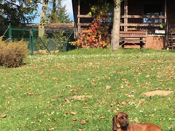 Ośrodek Wypoczynkowy Sielawa